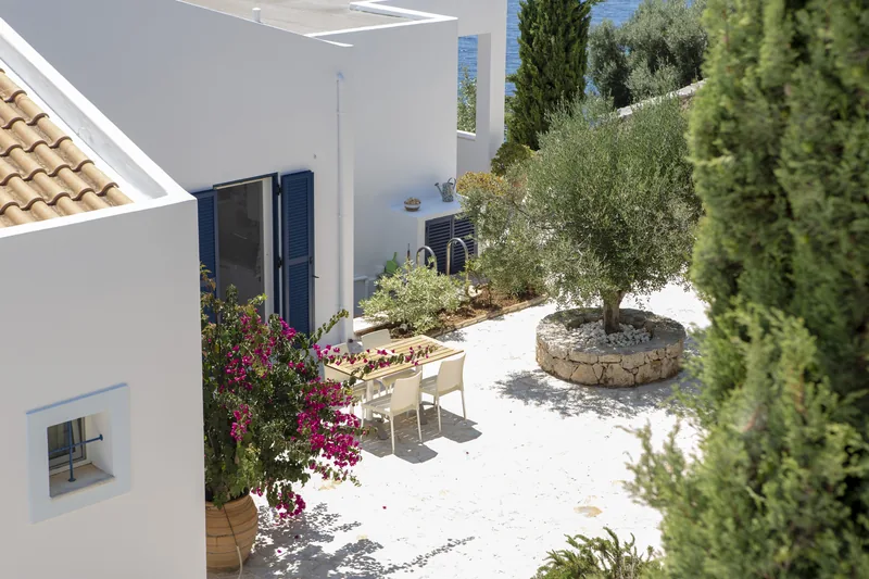 White courtyard with an olive tree ringed in stone, a dining table and bougainvillea against blue shutters